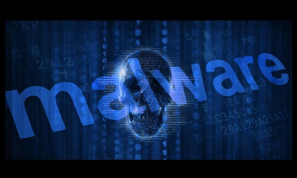 Understanding the Various Forms of Malware and Steps Taken to Avoid Them